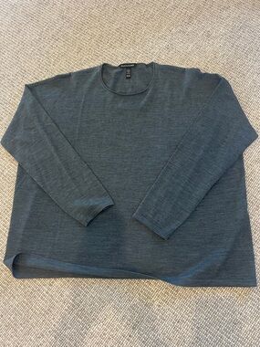 Eileen fisher merino wool sweater lightweight Sz PM